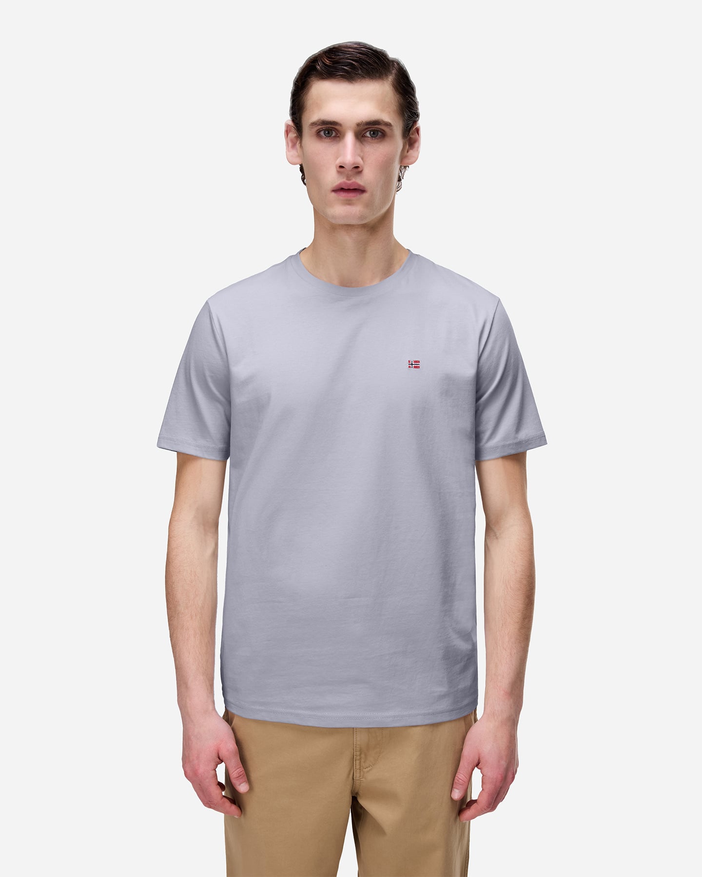 T-shirt NAPAPIJRI SALIS M - Grigio - 2 | Cisalfa Sport