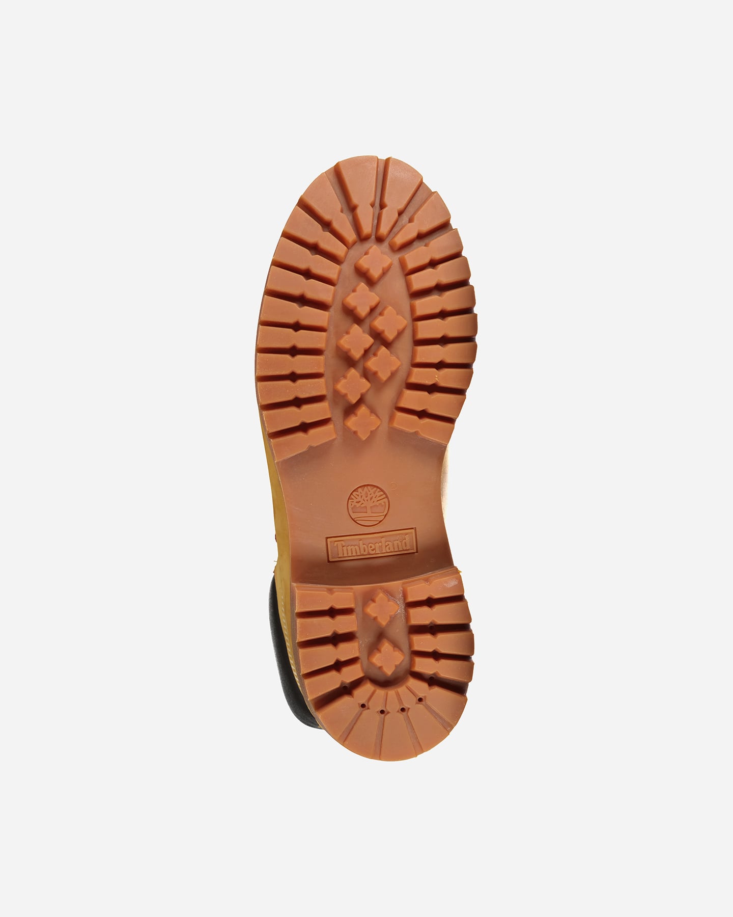 Scarpe urban TIMBERLAND PREMIUM 6IN M - Beige - 2 | Cisalfa Sport