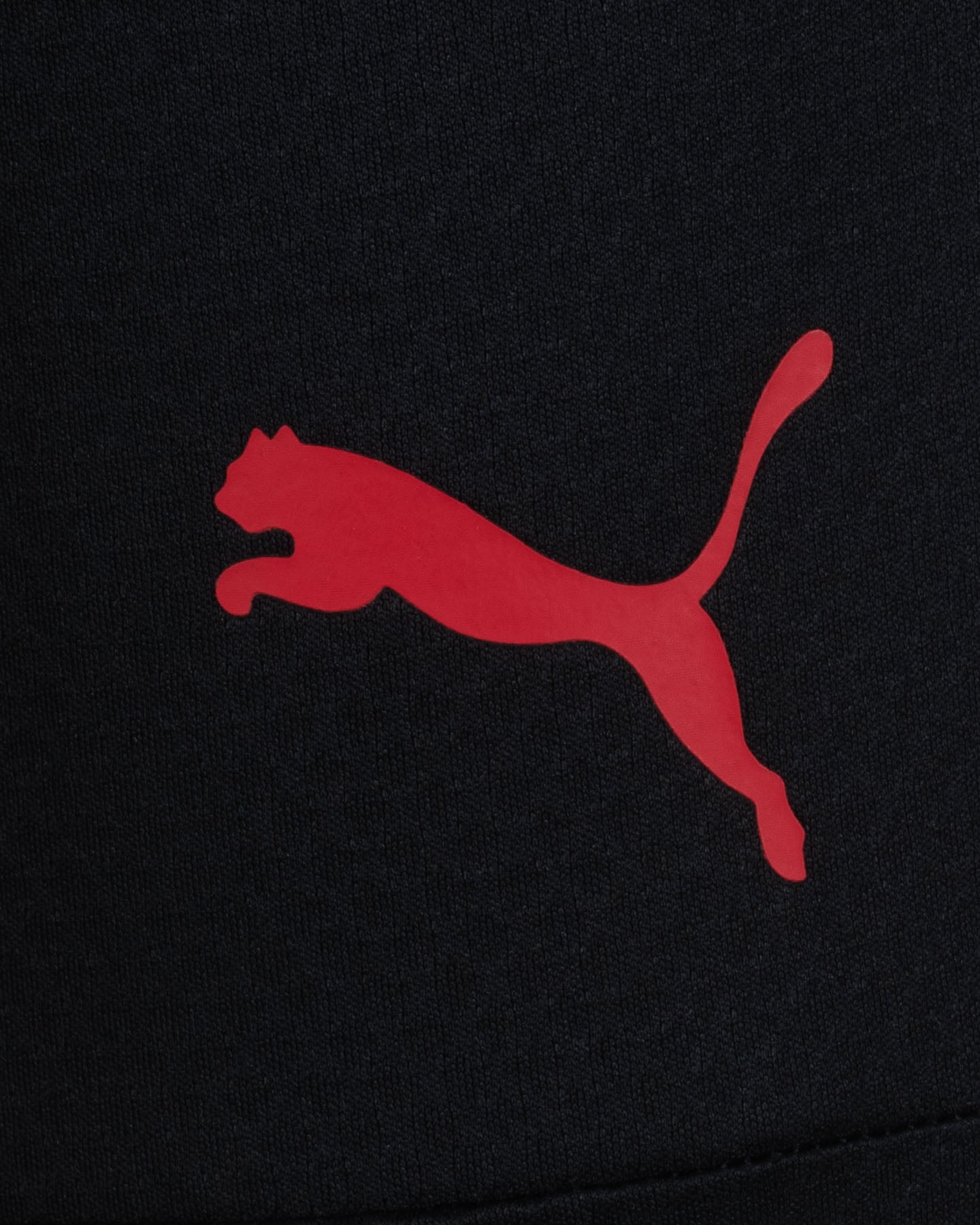 Abbigliamento calcio ufficiale PUMA MILAN TRAINING 23-24 M - Nero - 2 | Cisalfa Sport