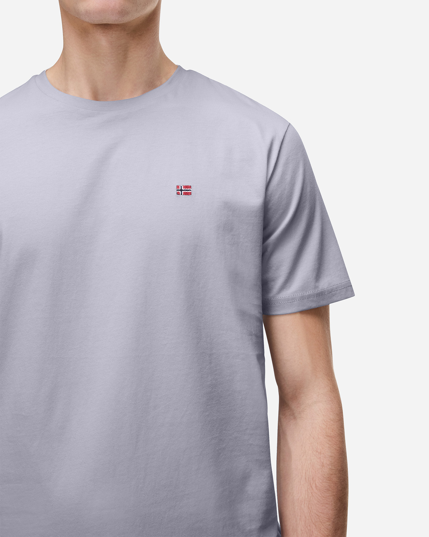 T-shirt NAPAPIJRI SALIS M - Grigio - 4 | Cisalfa Sport