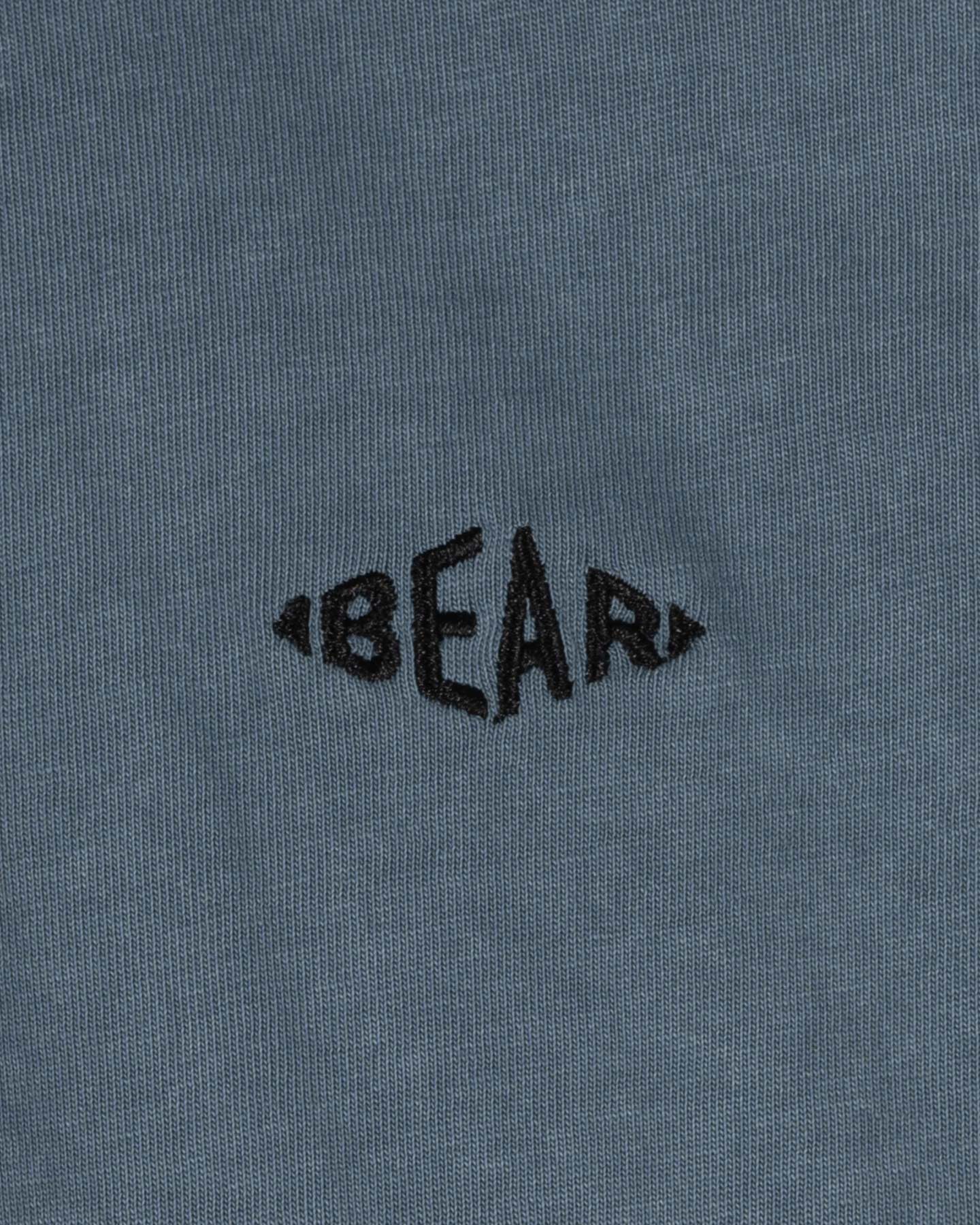T-shirt BEAR SHORE BREAK JR - Blu - 2 | Cisalfa Sport