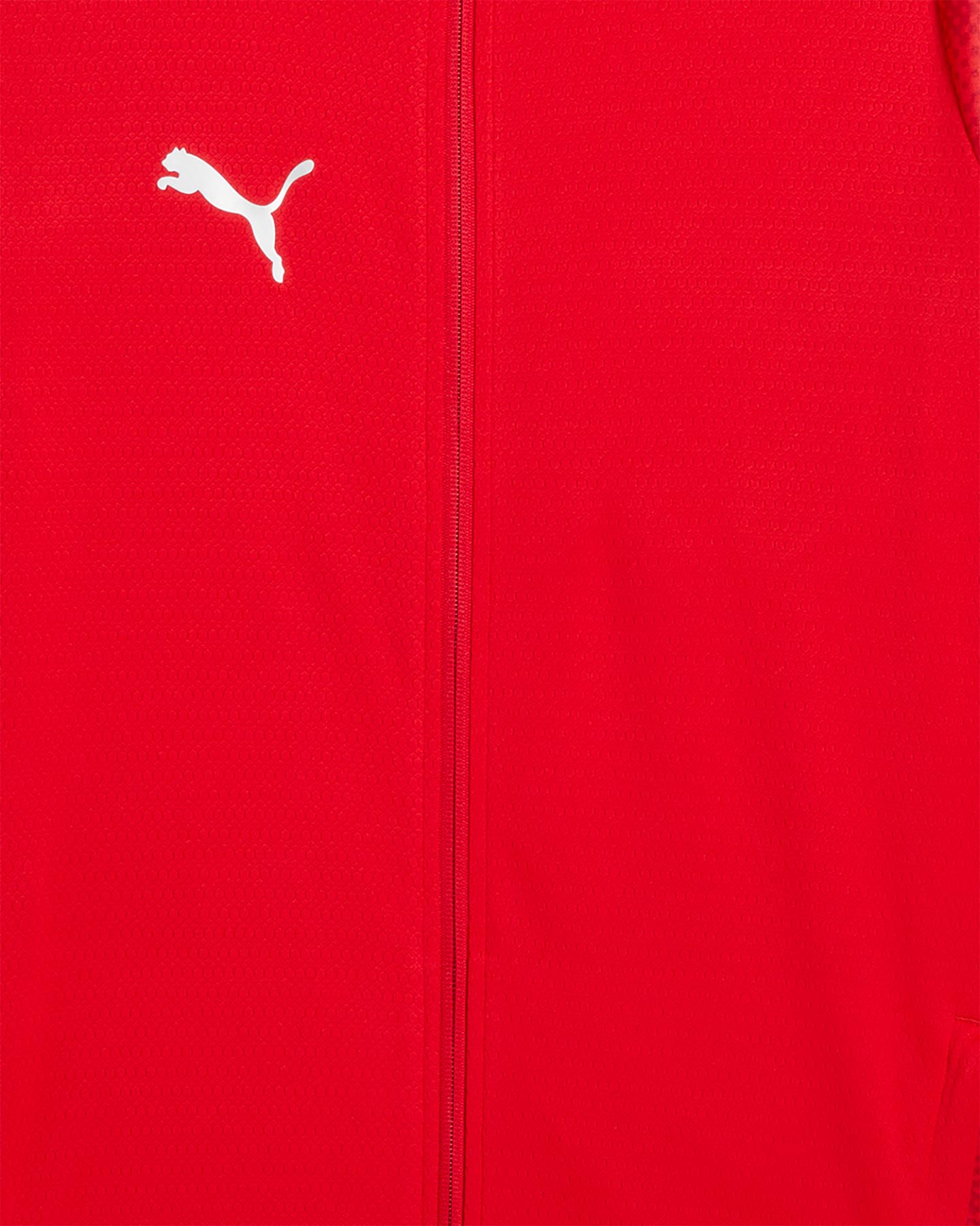 Giacca PUMA TEAMCUP M - Rosso - 2 | Cisalfa Sport