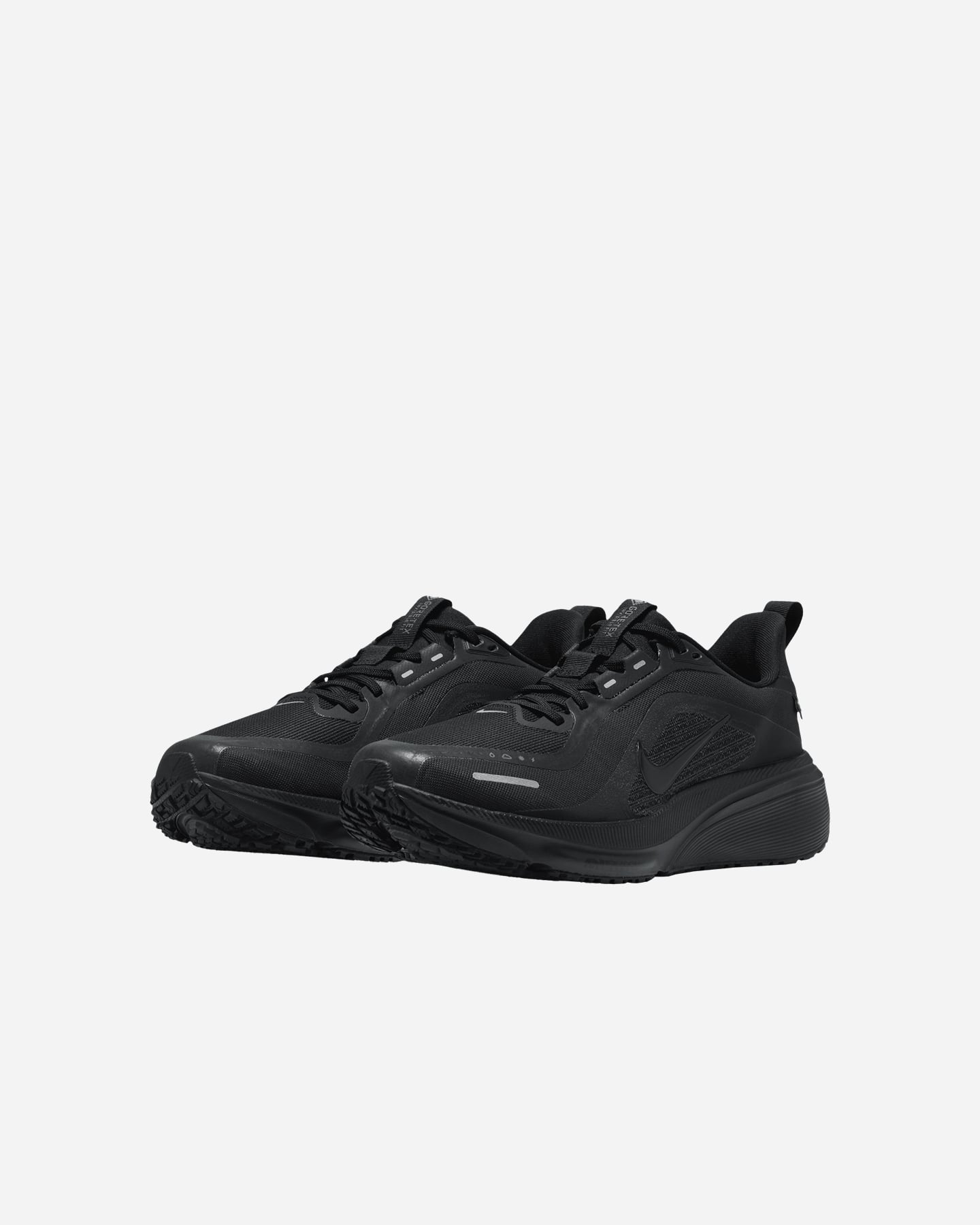 Scarpe running NIKE PEGASUS 42 GORE TEX W - 1 | Cisalfa Sport
