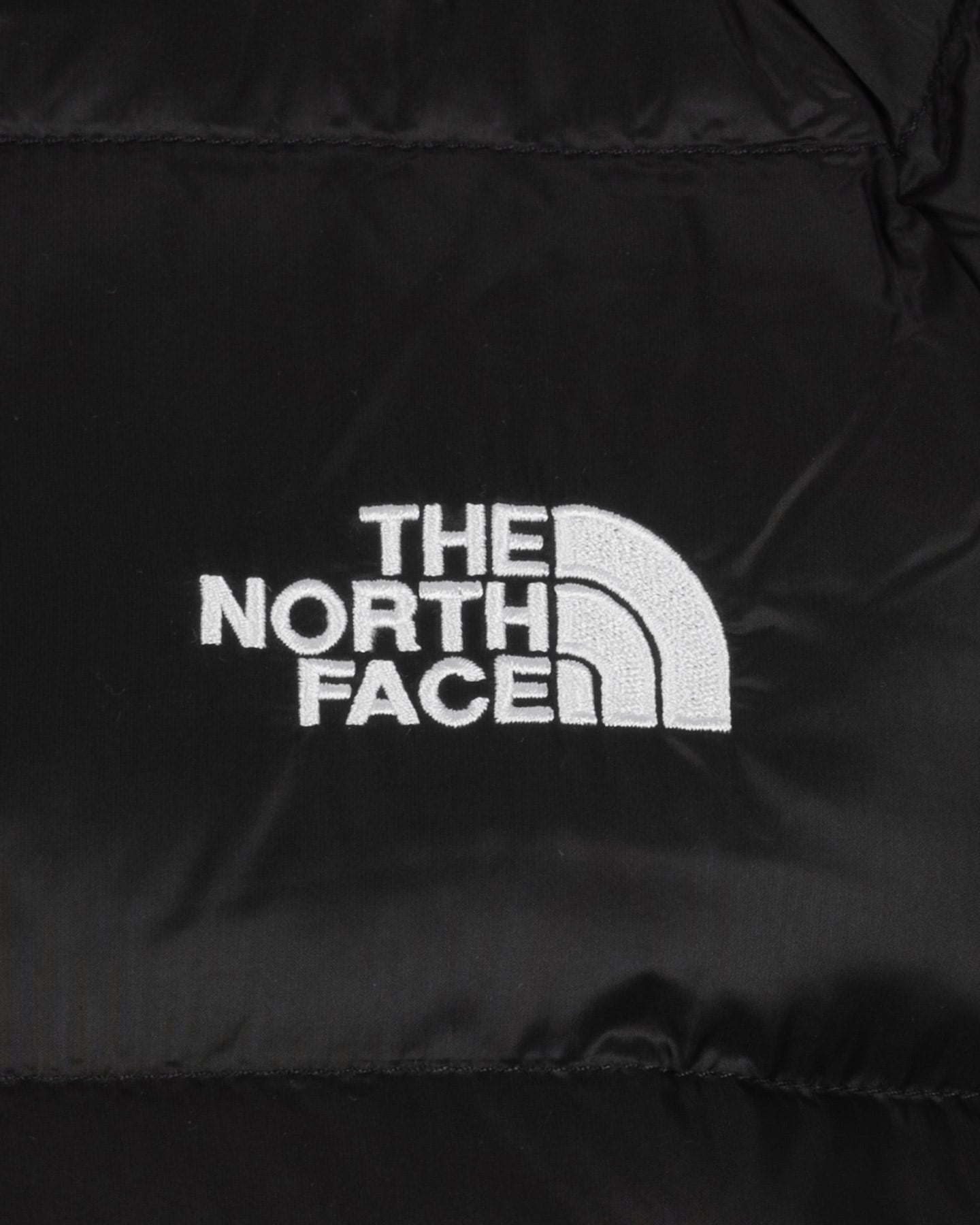 Piumino THE NORTH FACE HYDRENALITE W - Nero - 2 | Cisalfa Sport