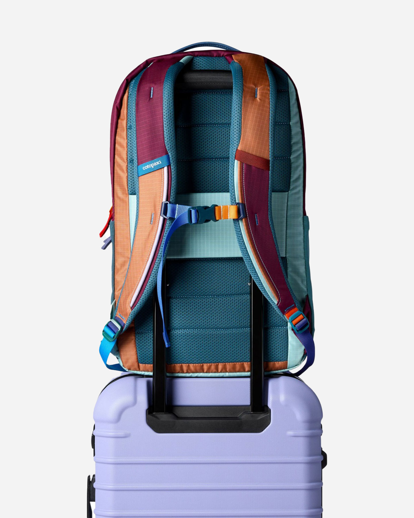 Borsa COTOPAXI ALLPA 26L  - Color mix - 4 | Cisalfa Sport