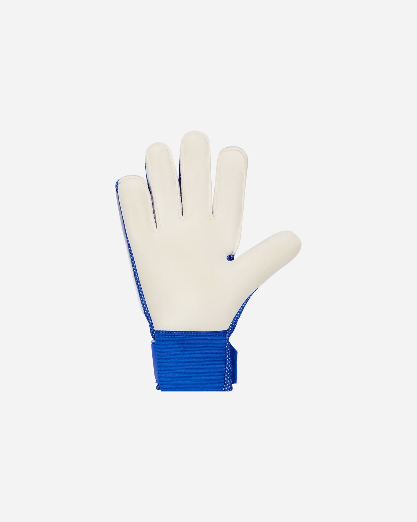 Guanti portiere NIKE MATCH JR - Color mix - 2 | Cisalfa Sport