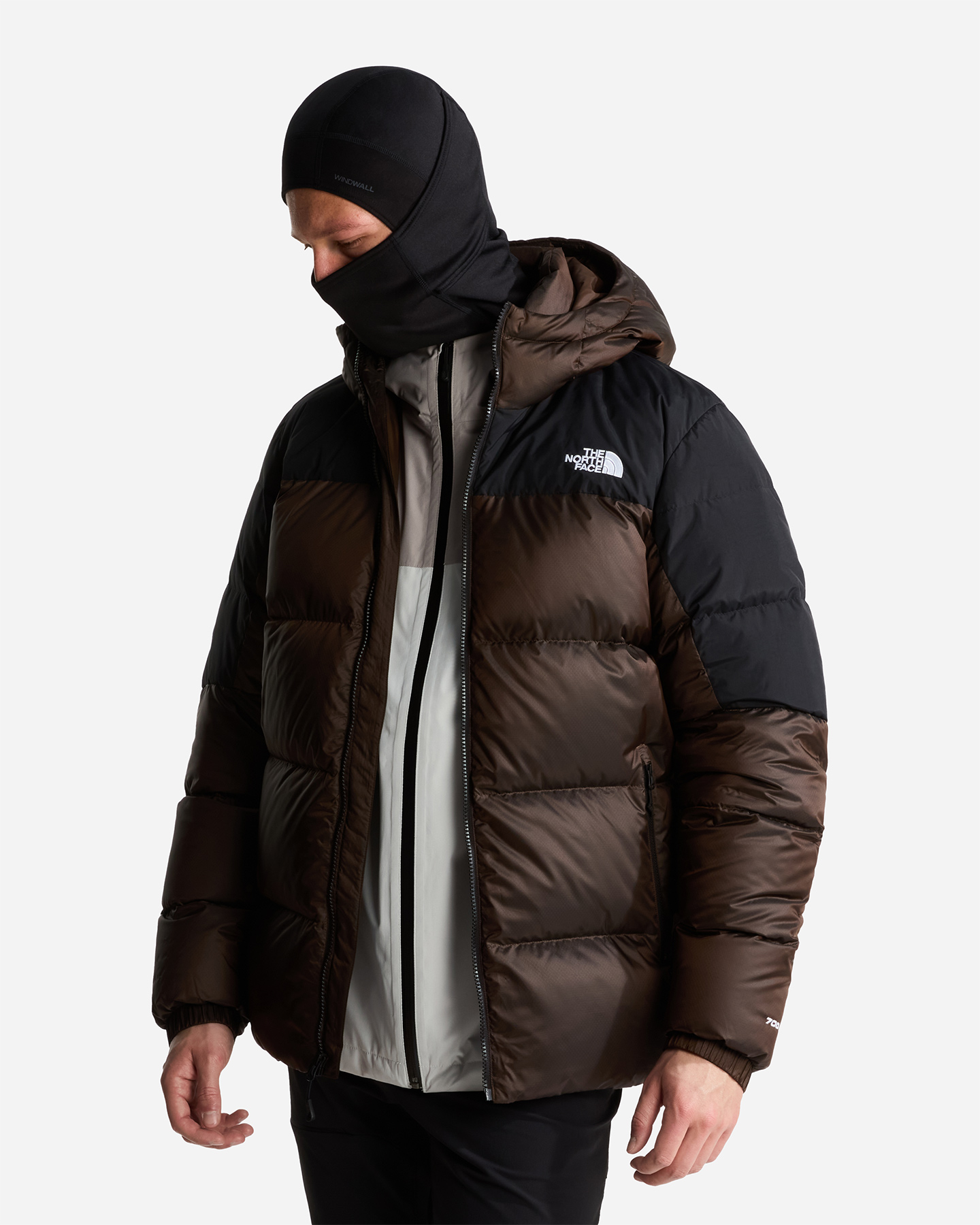 Piumino THE NORTH FACE DIABLO 2.0 M - Marrone - 3 | Cisalfa Sport