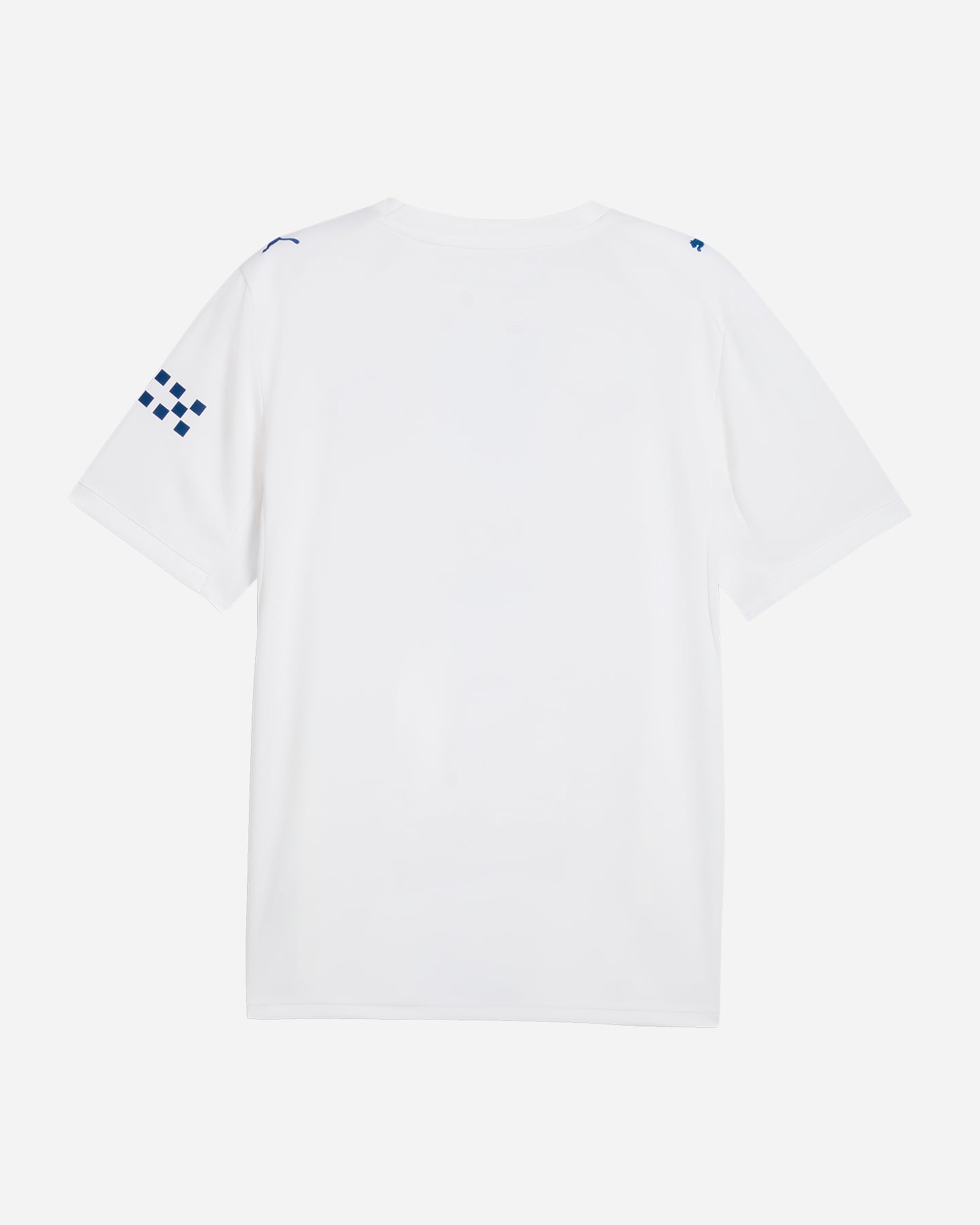 Maglia calcio ufficiale PUMA MANCHESTER CITY 3RD REPLICA M - 1 | Cisalfa Sport