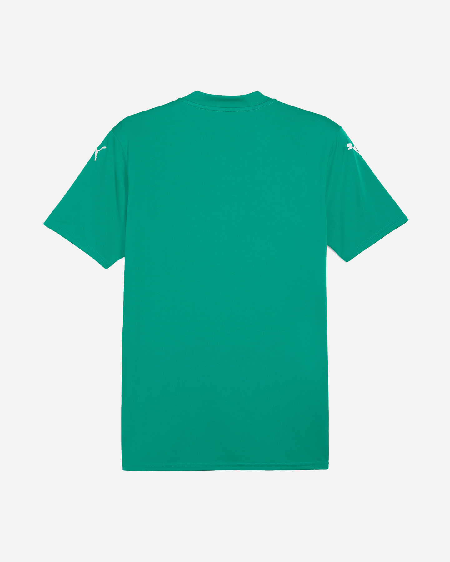 Maglia calcio PUMA TEAMGLORY M - Verde - 1 | Cisalfa Sport