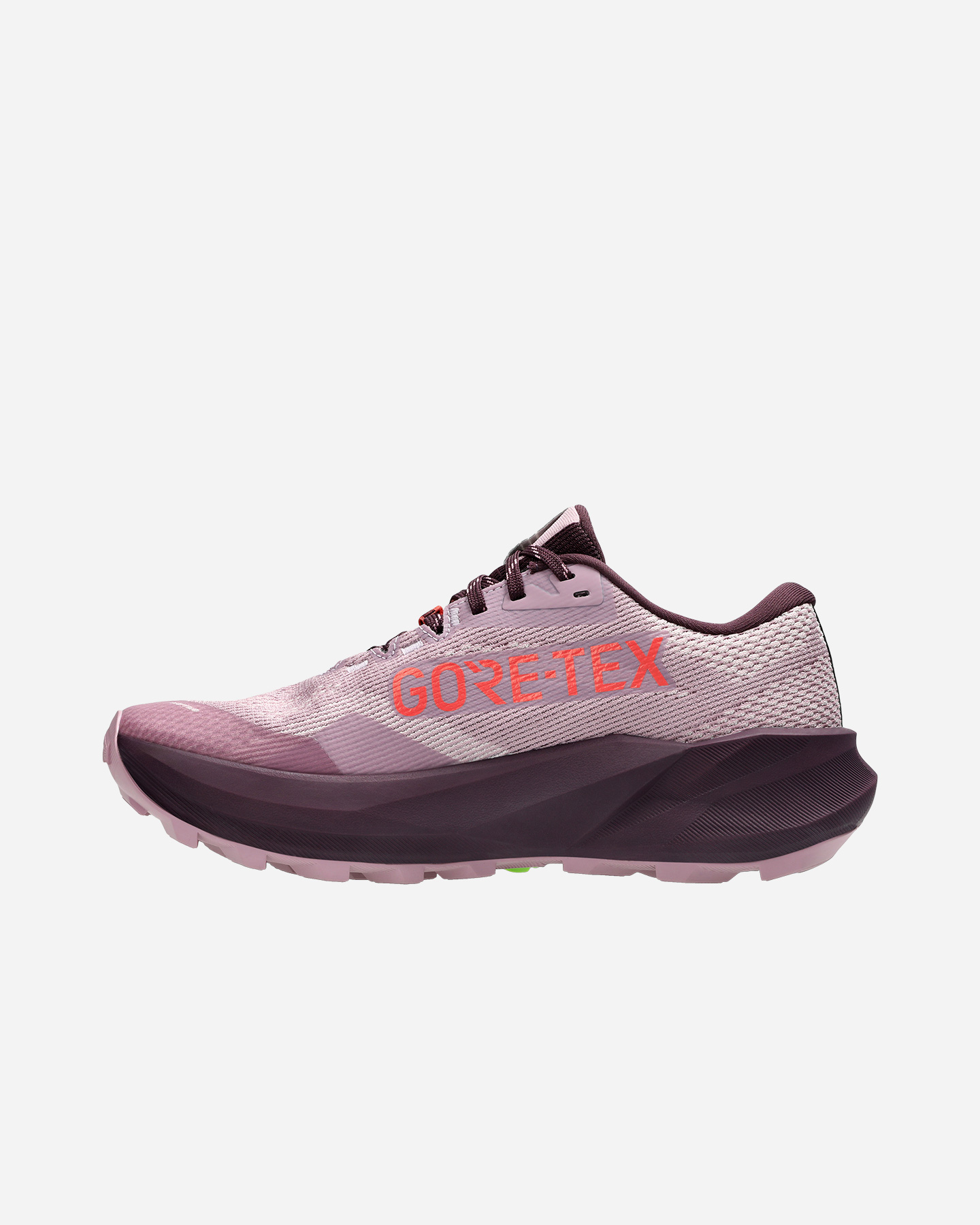 Scarpe trail ASICS TRABUCO 14 GTX W - Viola - 3 | Cisalfa Sport